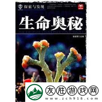 男人精-69XXXⅩXX：探索独特魅力与奥秘