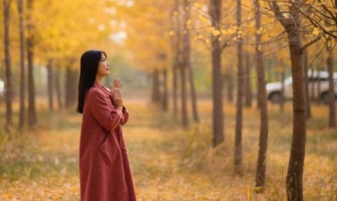成直播人APP免费：这是什么神操作？