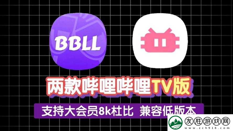 少女视频观看片-TV-哔哩哔哩：释放青春活力-畅享精彩视界